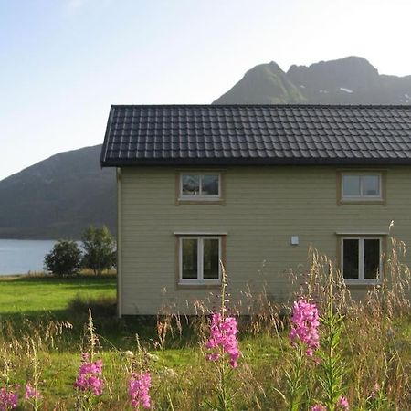 Charming House By The Sea, Lofoten! Laupstad Ngoại thất bức ảnh