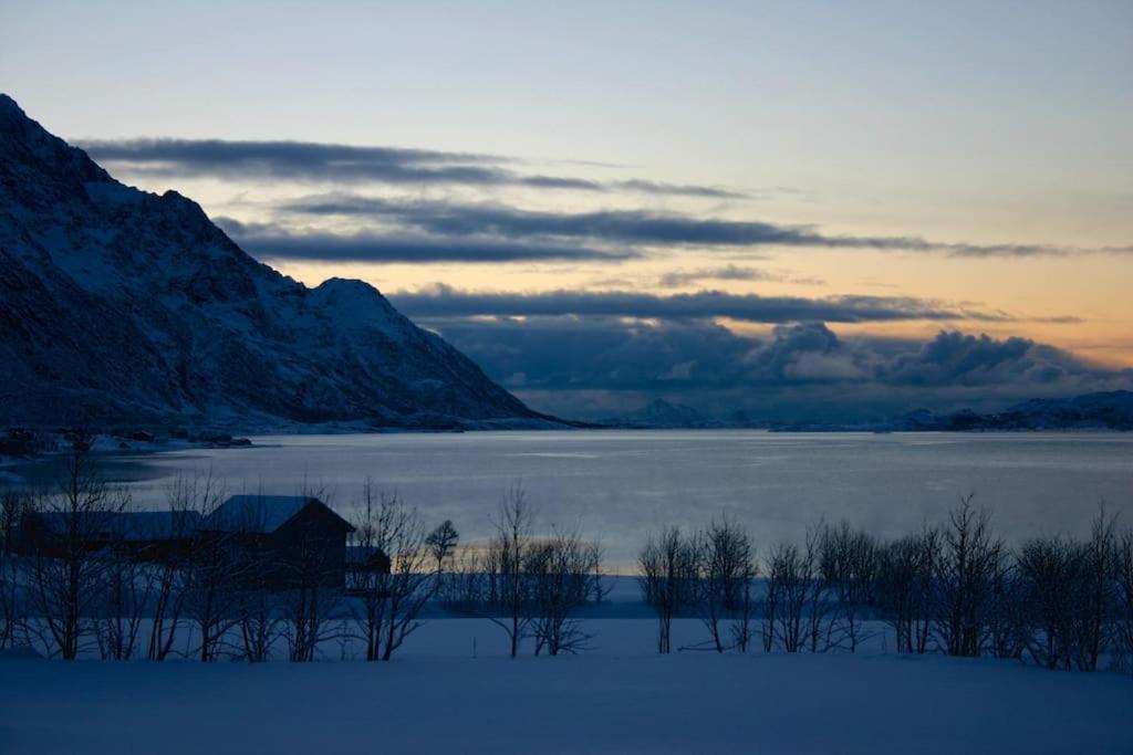Charming House By The Sea, Lofoten! Laupstad Ngoại thất bức ảnh