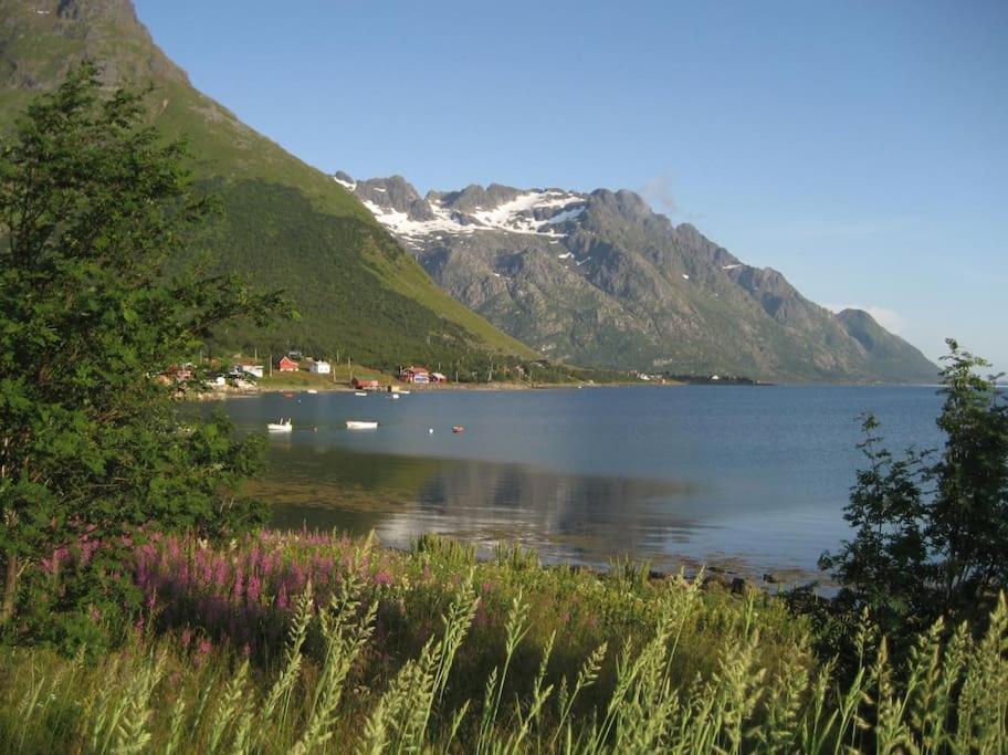 Charming House By The Sea, Lofoten! Laupstad Ngoại thất bức ảnh