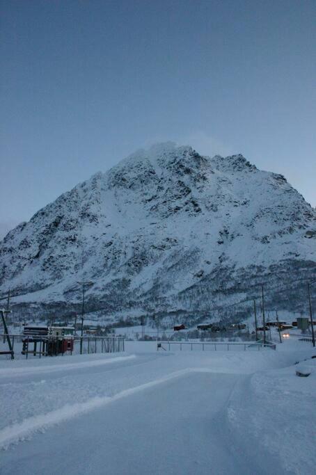 Charming House By The Sea, Lofoten! Laupstad Ngoại thất bức ảnh